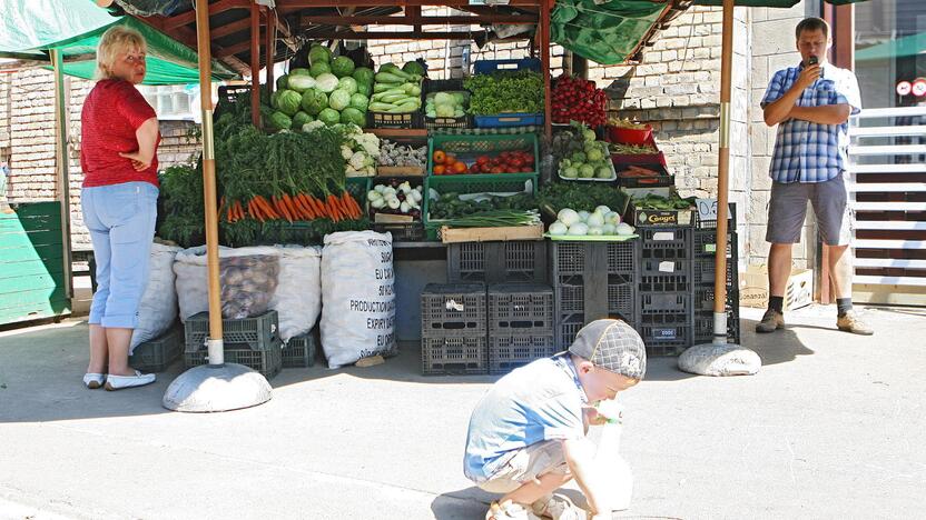 Pinigai: mūsų daržininkai tvirtina, kad, trūkstant daržovių Lenkijoje, jų kaina šokteli ir susilygina su lietuviškos produkcijos.