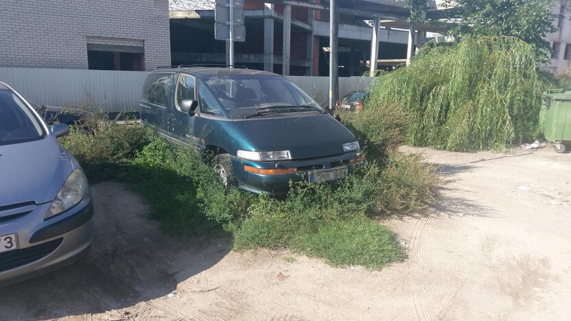 Džiunglės: kai kurie vairuotojai automobilius palieka tarp aukštų žolių.