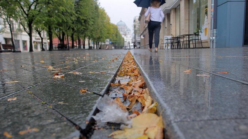 Situacija: Lietuva – viena iš labiausiai klimato požiūriu besikeičiančių šalių.