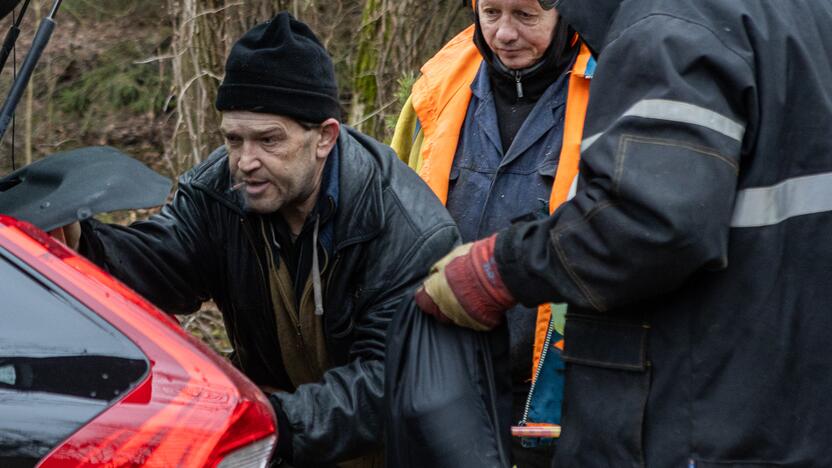 Į Radikius grįžo nelegalūs medžių kirtėjai