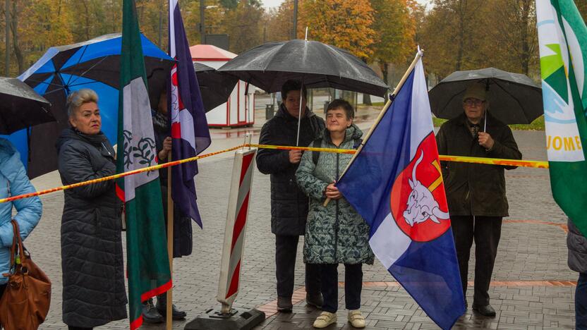 Piketas prieš planus dalį Kauno rajono teritorijos prijungti prie miesto