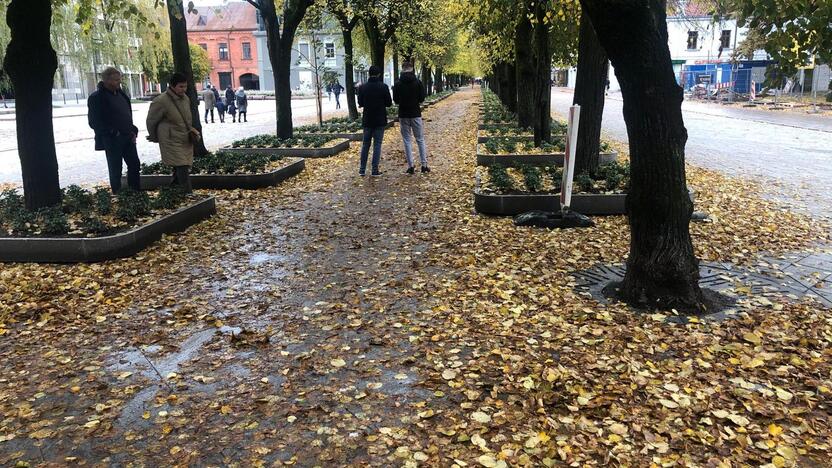 Rudeniniai lapai nuklojo Kauną