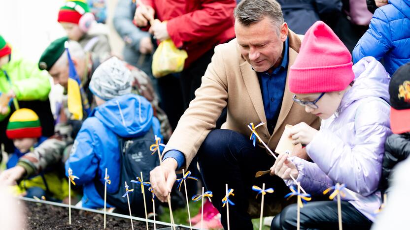 Saulėgrąžų sodinimas Tuskulėnų memoriale