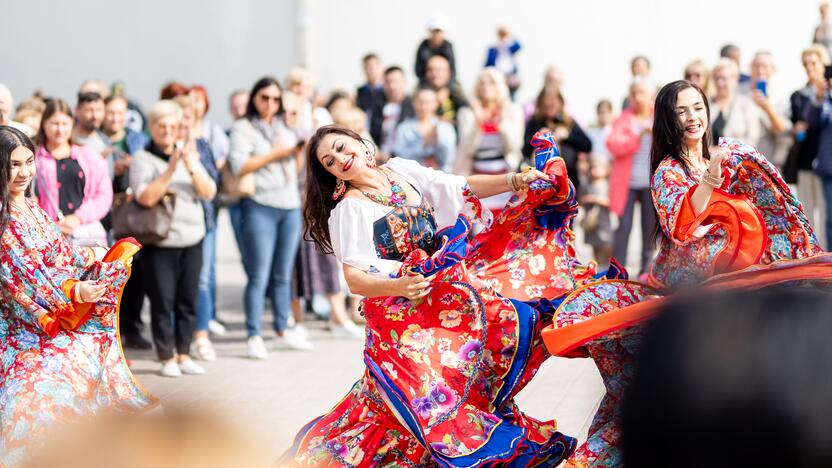 Teatrališka romų eisena su žirgais