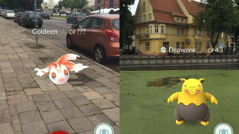 Pokemonai: virtualių monstriukų knibždėte knibžda įvairiose Klaipėdos centro vietose.