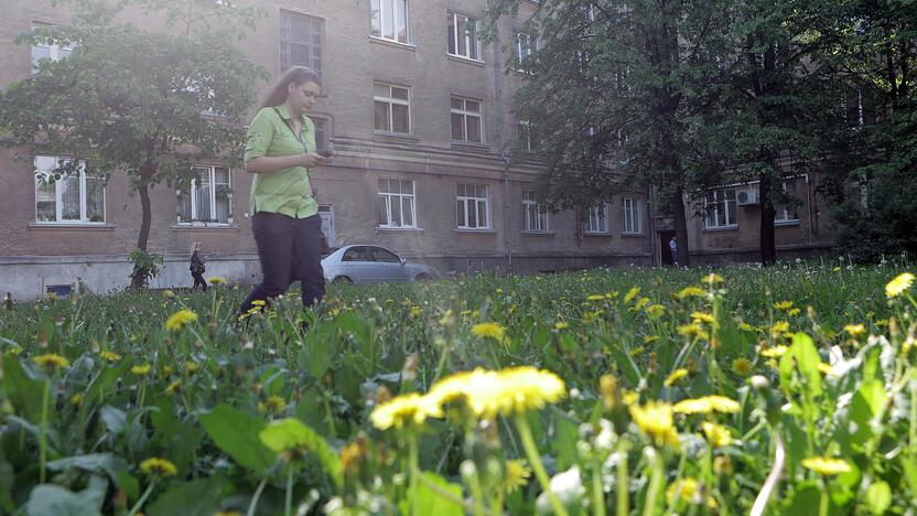 Išvengė: klaipėdiečiams kol kas nereikės patiems rūpintis nei kiemų šienavimu, nei šiukšlių rinkimu.