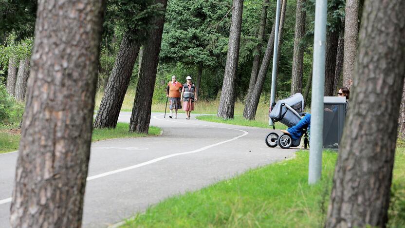 Pasiūlymai: galimybe vykdyti Poilsio parko atnaujinimo darbus susidomėjo tik dvi įmonės.