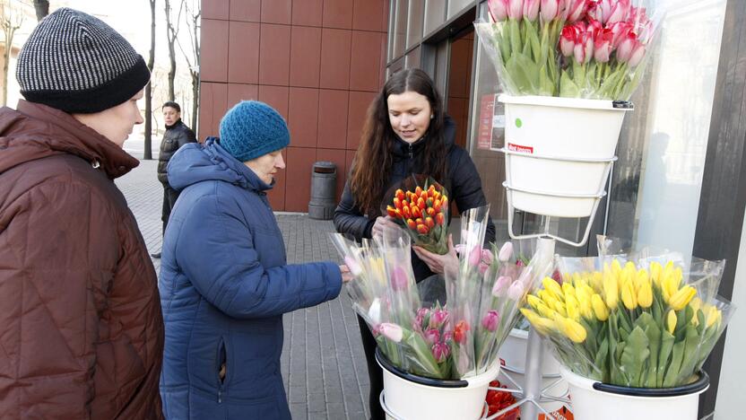 Skirtumas: per Moters dieną buvo išduoti 26 leidimai prekiauti tulpėmis viešose miesto vietose, o pardavinėti gėles Motinos dieną norą pareiškė gerokai mažiau prekeivių.