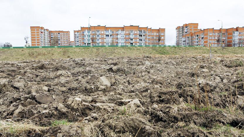 Žala: kažkas suarė pievą, kuri, praeities žinovų teigimu, slepia buvusios Bandužių gyvenvietės pėdsakus.