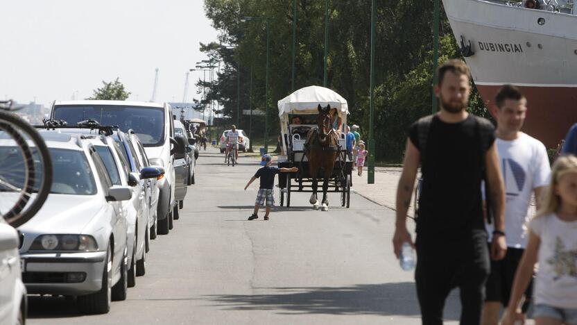 Siūloma rinkliavą už automobilių stovėjimą vasaros sezono metu rinkti ir Smiltynėje.