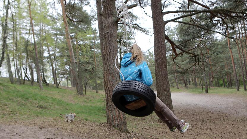 Gyventojų įrengtos sūpuoklės džiaugsmą kelia vaikams.