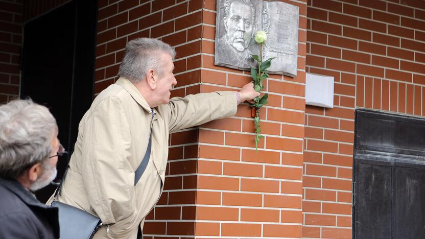 Šiemet pirmą kartą skyrus pinigų žymių žmonių atminimui įamžinti, pasiūlymų nestinga.