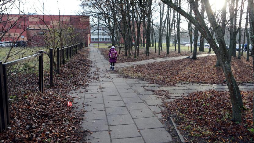 Gyventojai piktinasi tarp mokyklų paliktu nesutvarkytu plotu, kuriame pilna lapų.