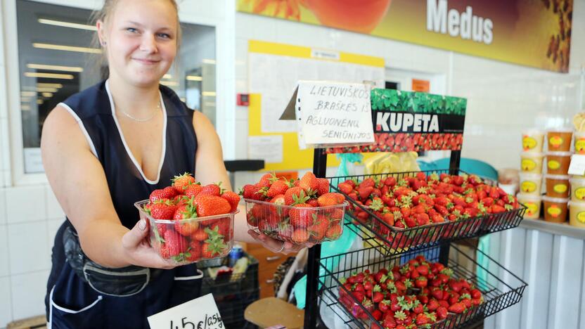 Kainos: klaipėdiečiams siūloma Agluonėnuose užaugintų braškių, kurių pusė kilogramo kainuoja 4,5 euro.