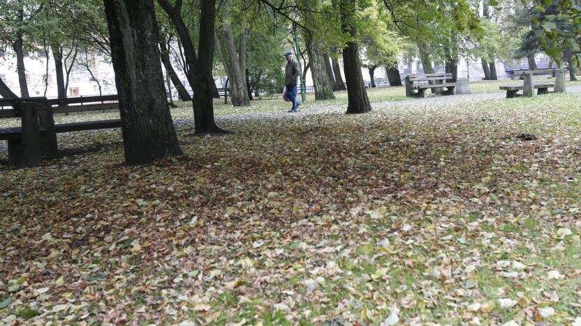 Darbai: pastaruoju metu prižiūrėtojai nespėja šluoti lapų.