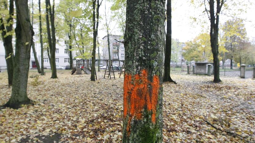 Pastebėjimas: Malūnininkų gatvės 1-ojo namo gyventojai sunerimo, kodėl nebuvo iškirsti visi pažymėti medžiai.