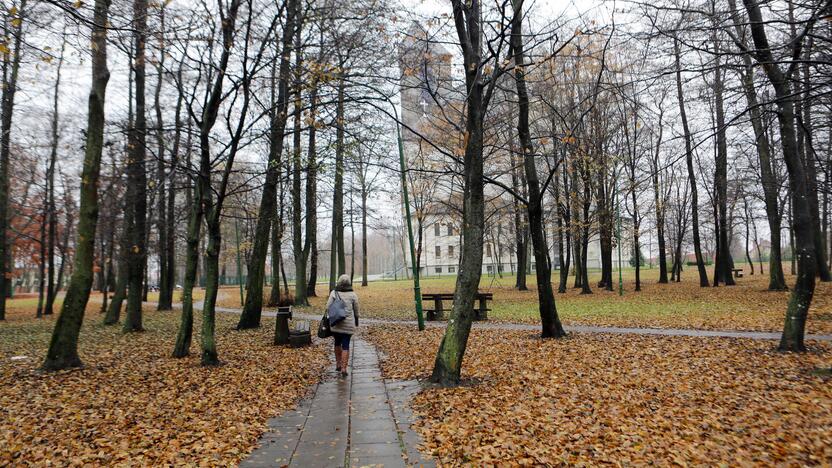 Darbai: skvere prie Šv. Kazimiero bažnyčios planuojama praretinti želdinius.