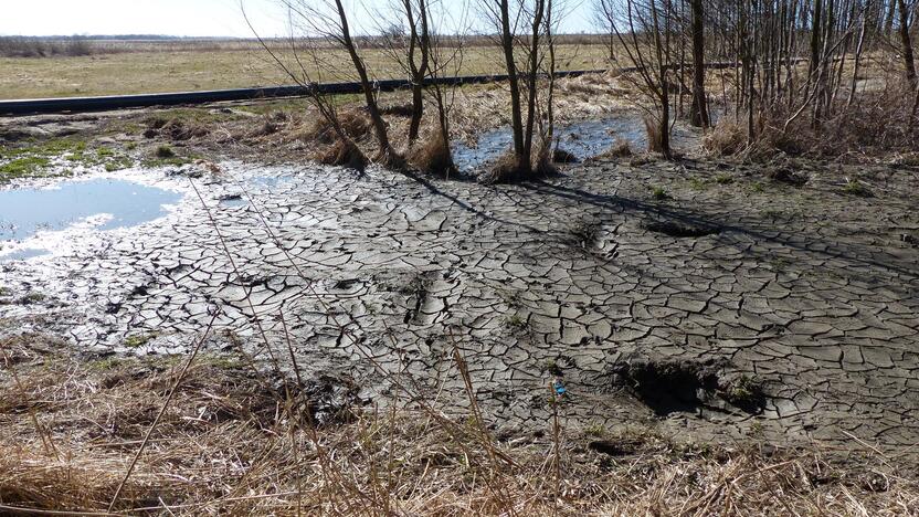 Situacija: aiškinama, kad į pievas pumpuojama tai, ką į uostelio užutėkį sunešė pats Nemunas.