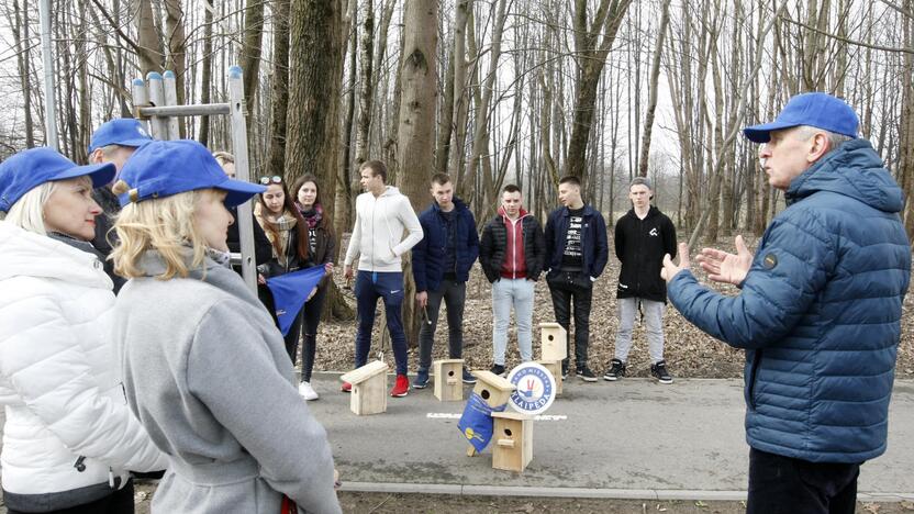 Iniciatyva: vakar Danės krantinėje augančiuose medžiuose iškelti inkilai.