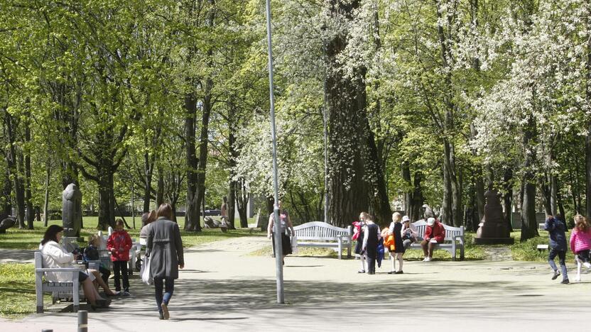 Ateitis: viliamasi, kad Skulptūrų parko ir senųjų kapinių teritorija bus atnaujinta iki 2020-ųjų.