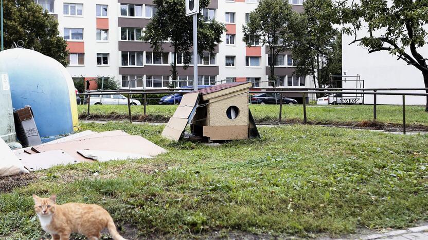 Prapuolė: neseniai benames kates prižiūrintys klaipėdiečiai pasigedo prie Kretingos g. 19 namo stovėjusių, o vėliau į kitą vietą perkeltų oficialių kačių šėryklų.