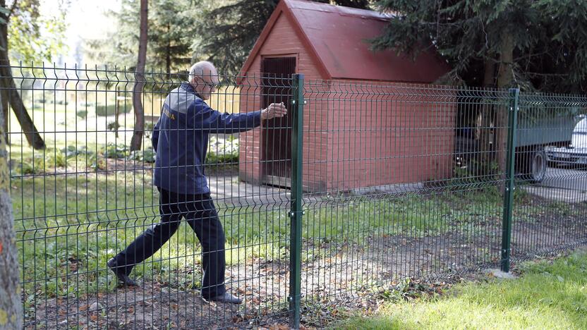 Žala: darželio "Volungėlė" ūkvedys įsitikino, kad paauglių išspardyta tvora griūna ją vos palietus pirštu.