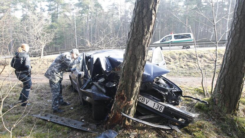 Tyrimas: incidentą, kai prie P.Lideikio gatvės viaduko į medį atsitrenkusiame BMW rastas sunkiai peiliu sužeistas jaunuolis, tebetiria kelių policijos pareigūnai.