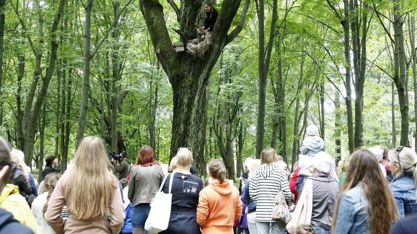 Trauka: Skulptūrų parkas jau seniai yra tapęs ne tik senųjų klaipėdiečių amžinojo poilsio, bet ir įdomių renginių vieta.