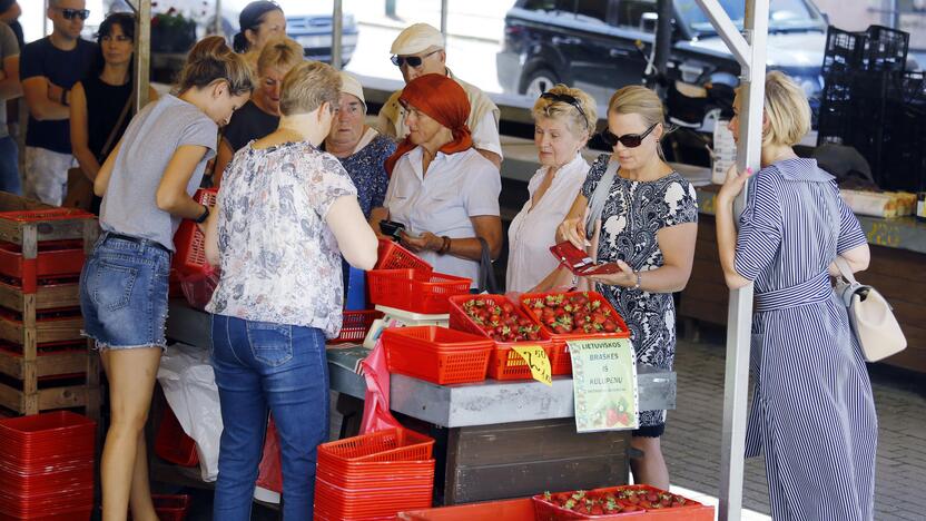 Kaina: prekiautojai tikina, kad braškių kainos labai nesikeis.