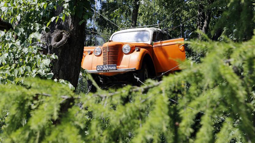 Takoskyra: tarp medžių pakibusį automobilį miškininkai vadina šiukšle, o bendrovės "Nuotykių parko Kar Kar" vadovas – muliažu.