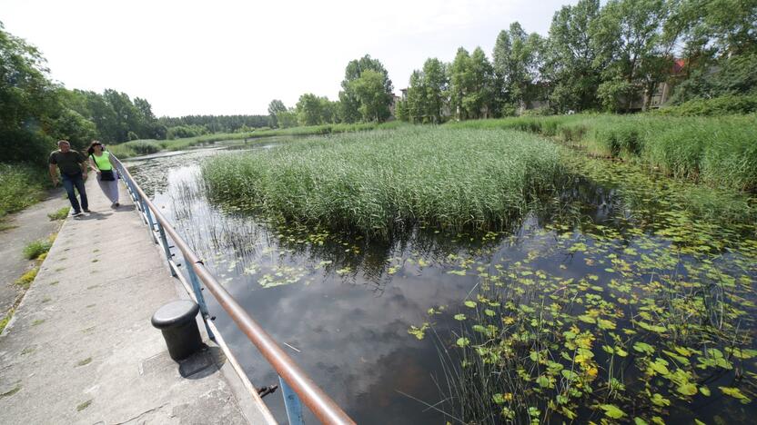 Vieta: nendrynais virtęs buvęs prieškario Šventosios uostas.