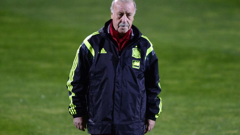 Vicente'as del Bosque'as 