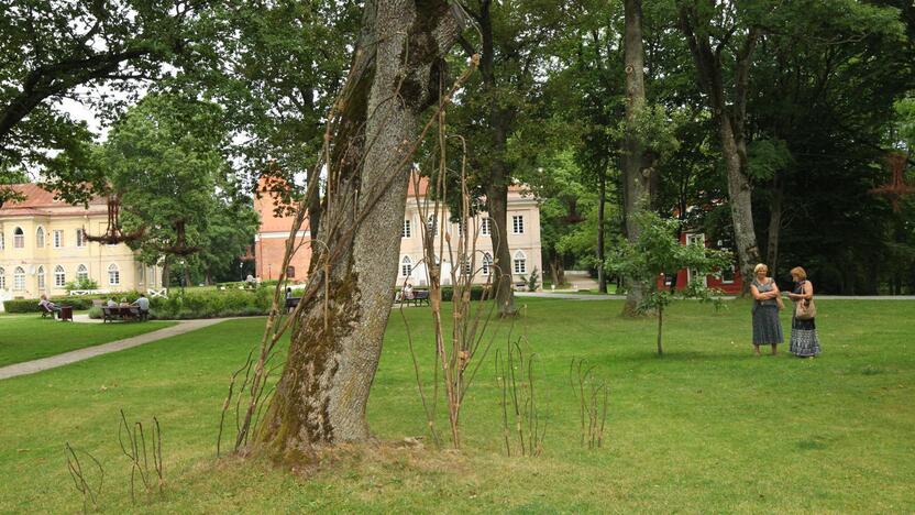 Tarptautinis žemės meno festivalis "Land Art Raudondvaris"