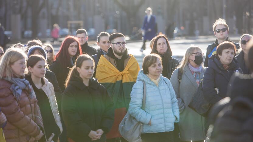 Ukrainos palaikymo akcija Vienybės aikštėje