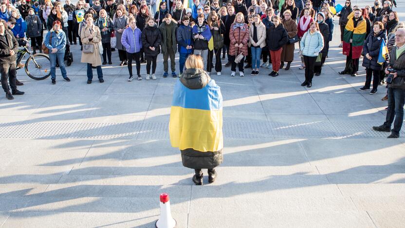 Ukrainos palaikymo akcija Vienybės aikštėje