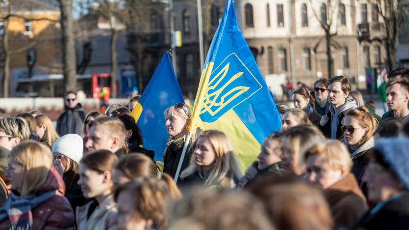 Ukrainos palaikymo akcija Vienybės aikštėje