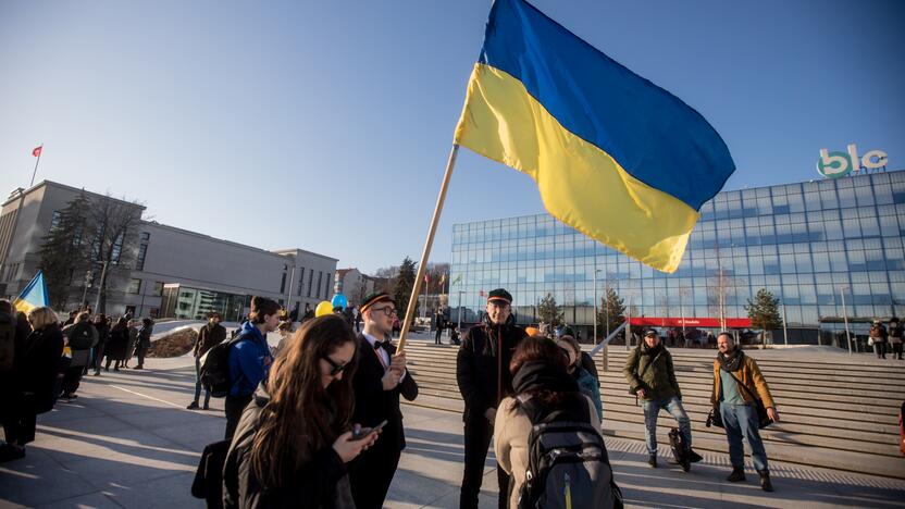 Ukrainos palaikymo akcija Vienybės aikštėje