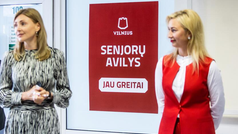 „Senjorų avilio“ pristatymas Vilniuje