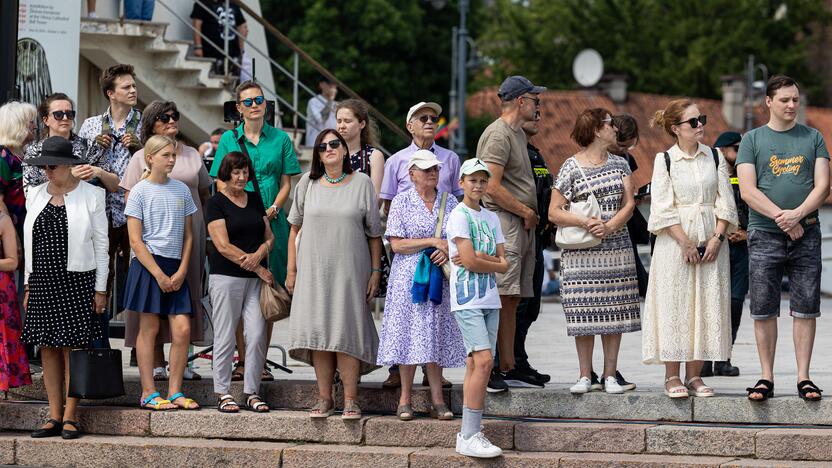 Lietuvos ginkluotųjų pajėgų vėliavų, būrių ir vadų rikiuotė