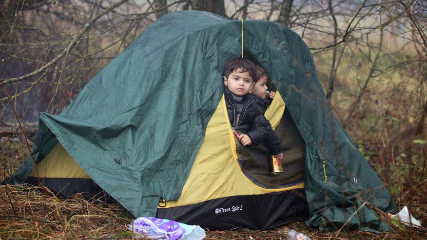 Nelegalūs migrantai Lenkijos ir Baltarusijos pasienyje