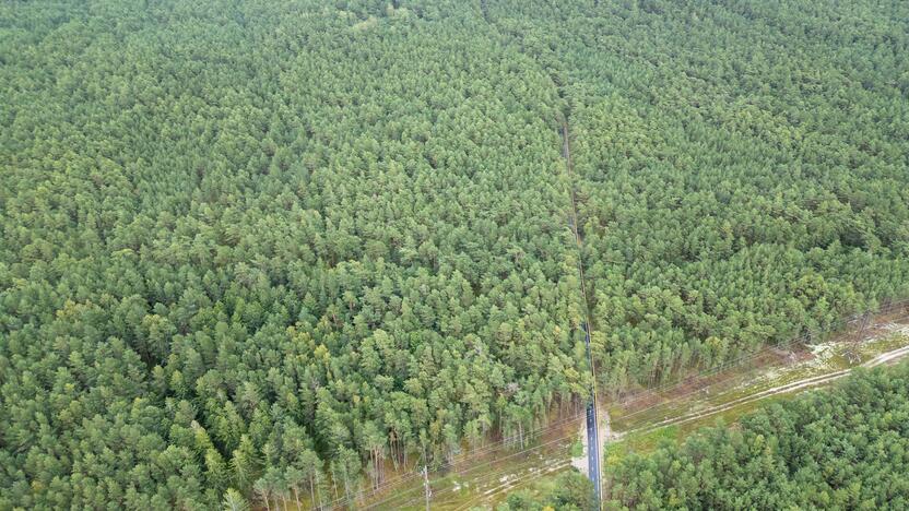 Rekonstruotas Kuršių nerijos dviračių takas