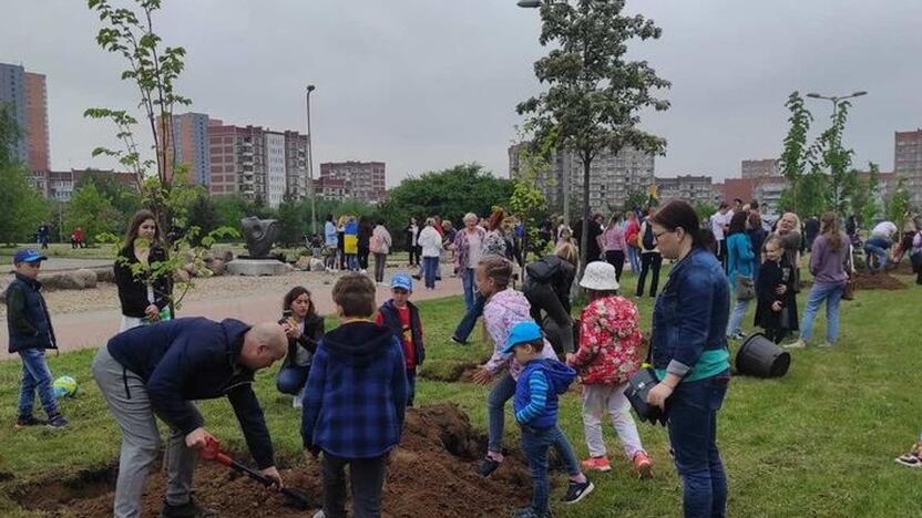 Akcija: Klaipėdoje nuo šiol žaliuos ukrainiečių rankomis pasodintos liepos, kurios primins karo pabėgėlių dėkingumą. 