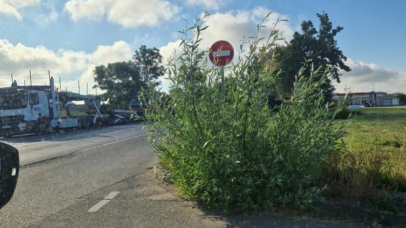 Matomumas: tokį vaizdą mato vairuotojai, norintys Šilutės plente įsukti į pagrindinį kelią.