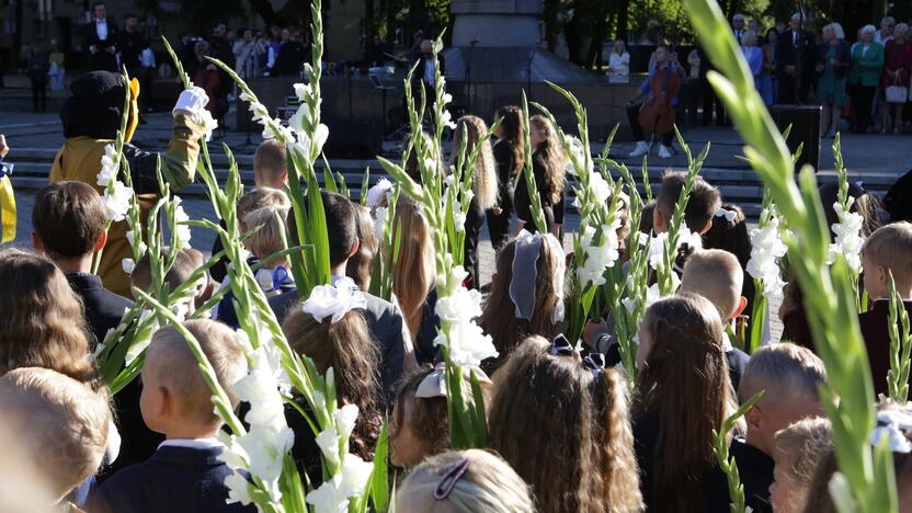 Tradicija: perkamiausia moksleivių gėlė – kardelis, jau tapęs Mokslo dienos simboliu.