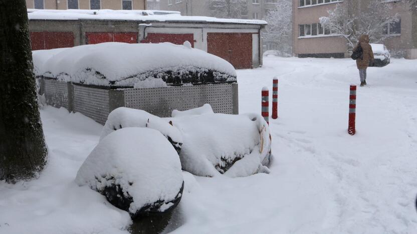 Problema: gyventojai ir vėl skundžiasi, kad vidiniuose kiemuose esantys konteineriai užversti šiukšlių kalnais.