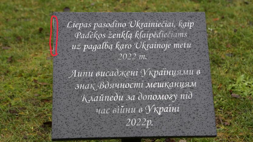 Įamžino: Sąjūdžio parke prie ukrainiečių Klaipėdai dovanotų liepų atminimo lenta neilgai buvo kaip nauja – kažkas jau spėjo ją apdaužyti.