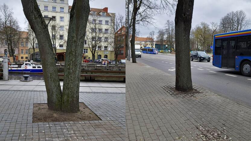 Žymės: ant miesto centro šaligatvių – paukščių išmatų driekanos.