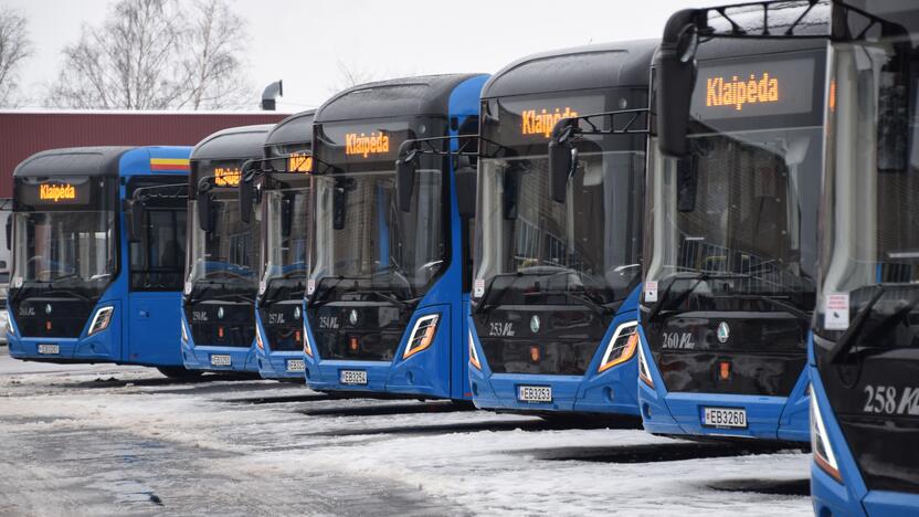 Startas: jau 13 elektra varomų autobusų nuo sausio riedės Klaipėdos gatvėmis.