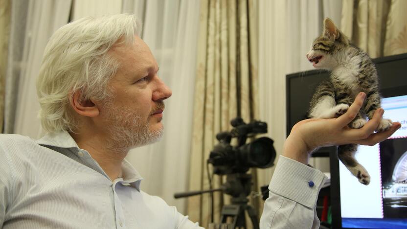 Julianas Assange'as