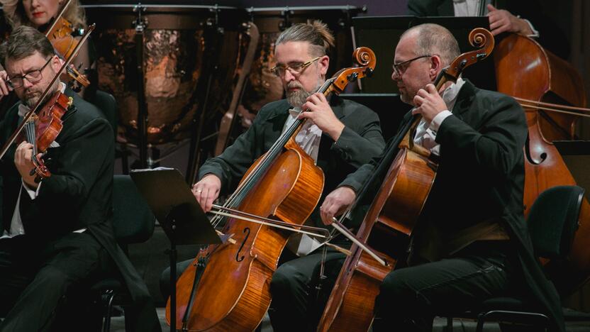 Klaipėdos kamerinis orkestras